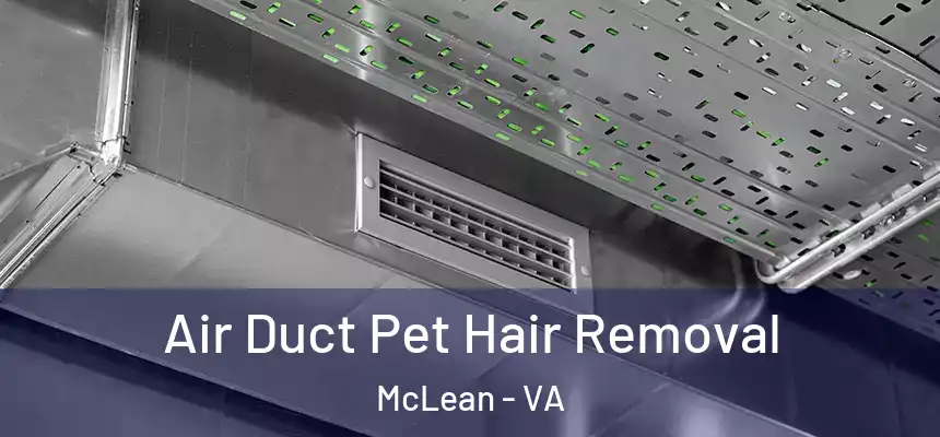 Air Duct Pet Hair Removal McLean - VA