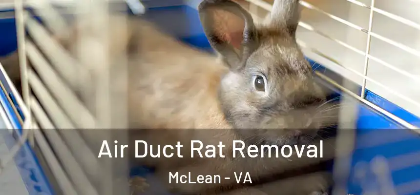 Air Duct Rat Removal McLean - VA