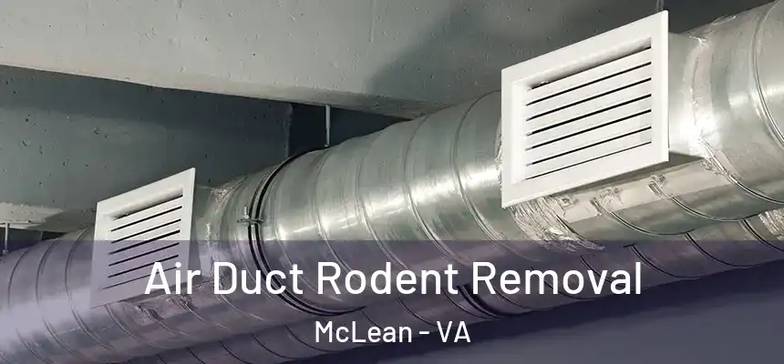 Air Duct Rodent Removal McLean - VA