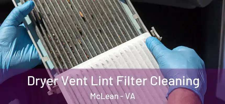  Dryer Vent Lint Filter Cleaning McLean - VA