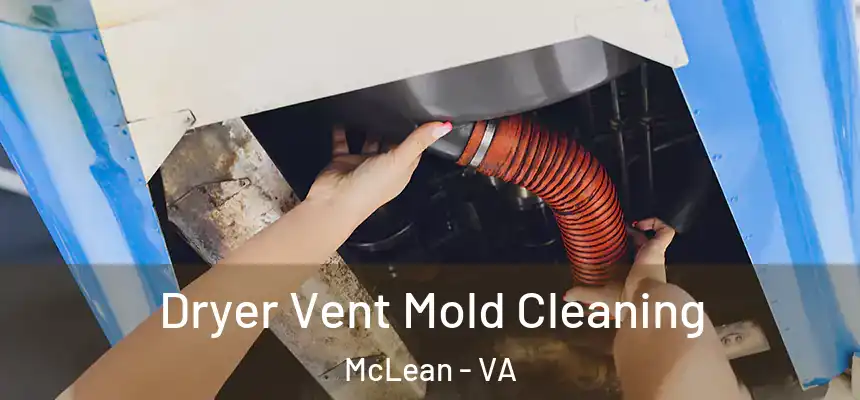  Dryer Vent Mold Cleaning McLean - VA
