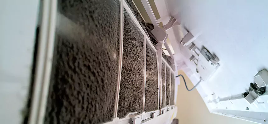 Preventive Air Duct Bacteria Removal in McLean