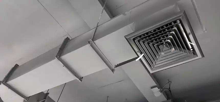 Our Pest Removal From Ducts Services in McLean, VA