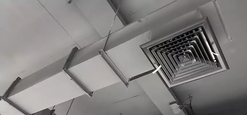 Our Rodent Droppings In Vents Services in McLean, VA