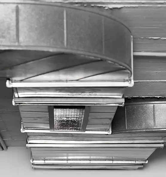 Professional Air Duct Pet Hair Removal in McLean, VA