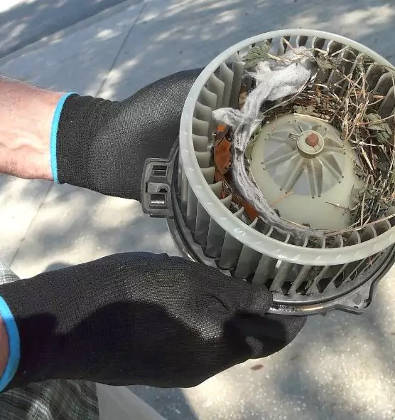 About Air Duct Rat Removal in McLean, VA