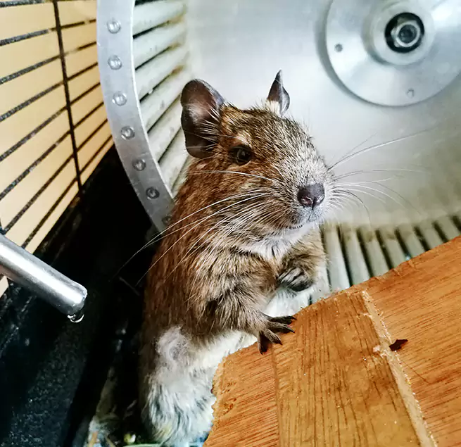 Why Homeowners & Businesses Trust Us McLean, VA