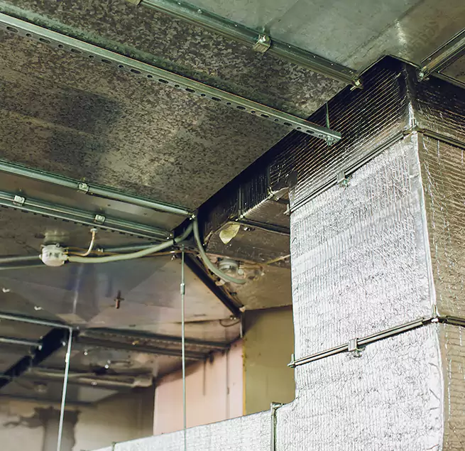 Why Homeowners & Businesses Trust Us in McLean, VA?